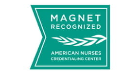 Magnet